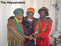 Abyssinians