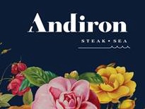 Andiron Steak-Sea logo