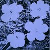Andy Warhol Classic Contemporary