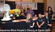 Aquarius Fiesta 2014