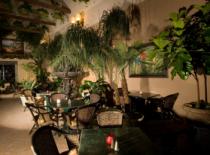 Amora Garden Cafe
