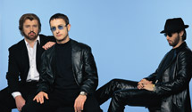 Bee Gees Tribute Show