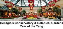 Bellagio Conservatory and Botanical Gardens - Year of the Yang