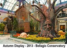 Bellagio Conservatory Autumn Display 2013