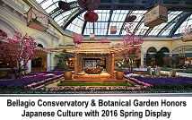 Bellagio Conservatory Botanical Garden Japanese 2016 Spring display