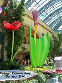 Bellagio Conservatory Summer 2014