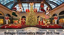 Bellagio Conservatory Winter 2015 Tree
