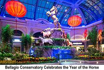 Bellagio Conservatory year of the horse