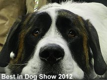 Best in Dog Show 2012