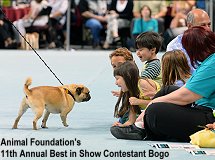 Best in Show contestant 11th annual Bogo