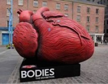 BODIES Giant Heart