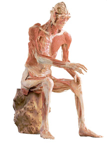 Bodies 'The Thinker'