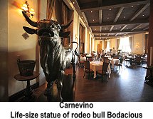 Carnevino - Life-size Statue of Rodeo Bull 'Bodacious'