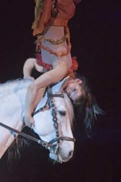 Cavalia