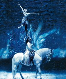 Cavalia - Bungee