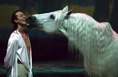 Cavalia - Liberte