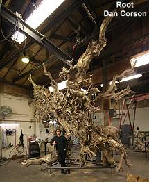 Dan Corson - Root