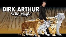 Dirk Arthur Wild Magic
