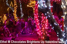 Ethel M Chocolates - Valentines Day