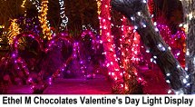 Ethel M Chocolates Valentine's Day light display