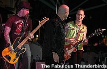Fabulous Thunderbirds