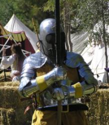 Festival Knight