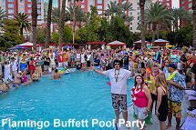 Flamingo buffett pool party