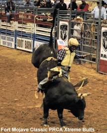 Fort Mojave Classic PRCA Xtreme Bulls