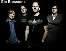 Gin Blossoms