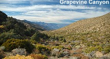 Grapevine Canyon