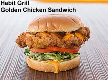  Habit Grill golden chicken sandwich