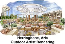 Herringbone, Aria - outdoor artist rendering