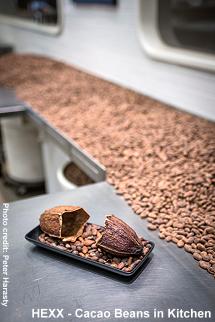 HEXX - Cacao beans in kitchen