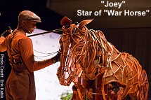 'Joey' star of 'War Horse'