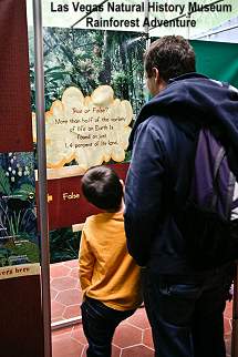 Las Vegas Natural History Museum rainforest adventure