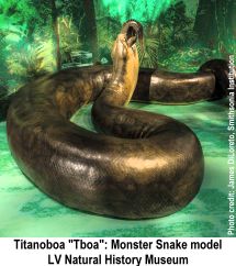 las-vegas-natural-history-museum-titanoboa-model