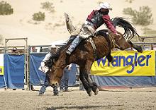 Bare Back at the Laughlin River Stampede