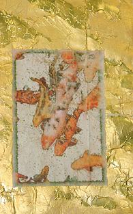 Mark's Koi