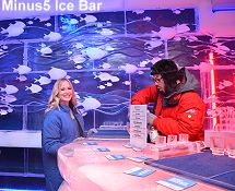 Minus5 Ice Bar