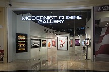 Modernist Cuisine Gallery