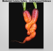 Modernist Cuisine Gallery - Underground Embrace