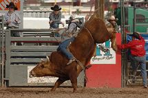 Rodeo