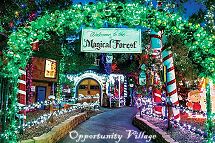 Opportunity Village - Magical Forest