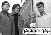 Paddy's Pig