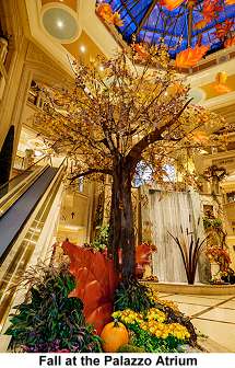 Palazzo Atrium Fall 2015