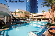 Palms pool
