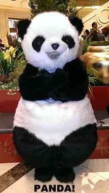 Panda! The Show, lead character