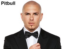 Pitbull