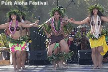 Pure Aloha Festival