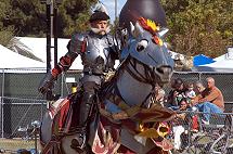 Renaissance Festival Knight